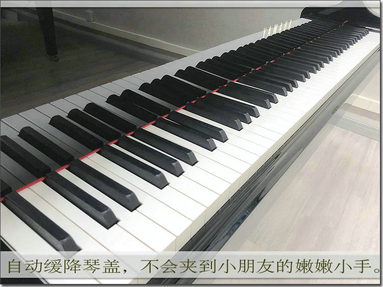 日本原装进口三角钢琴C3X(图2)