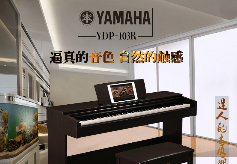 雅马哈电钢琴YDP103(图1)