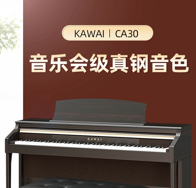卡瓦依电钢琴CA30(图1)