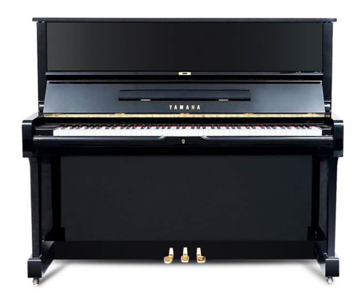Schimmel  K132