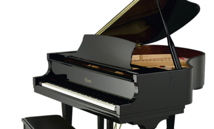 Schimmel  K132