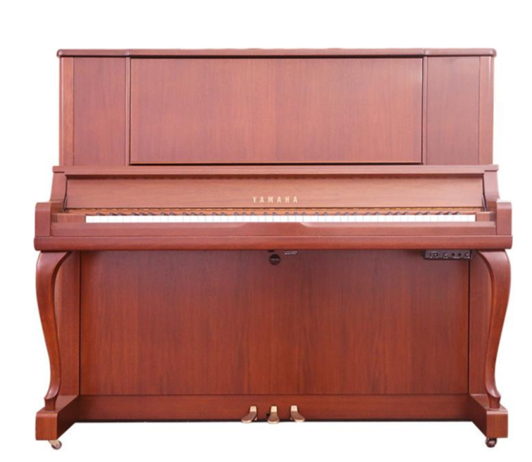 Schimmel  K132