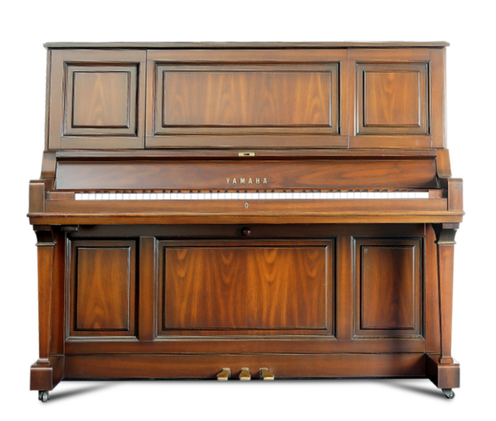 Schimmel  K132