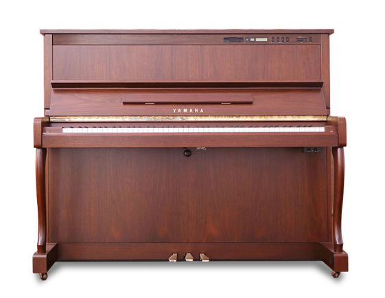 Schimmel  K132