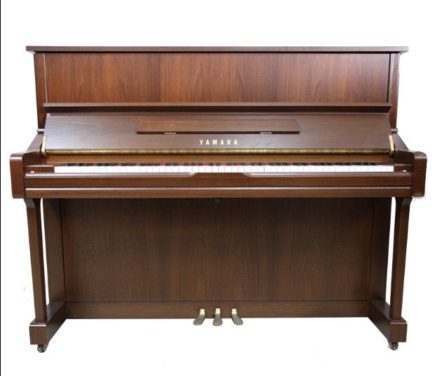 Schimmel  K132