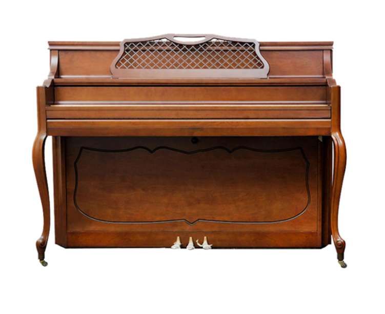 Schimmel  K132