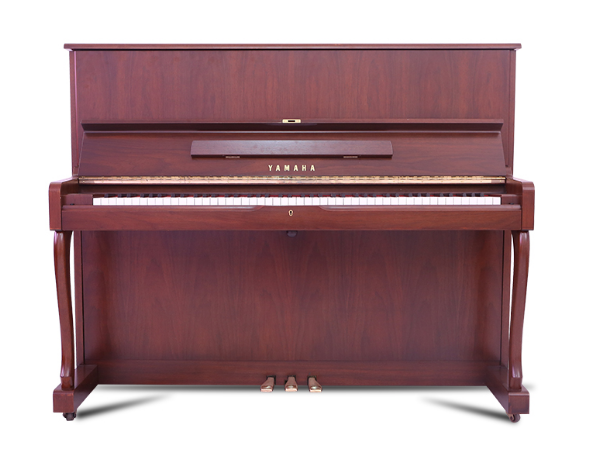 Schimmel  K132
