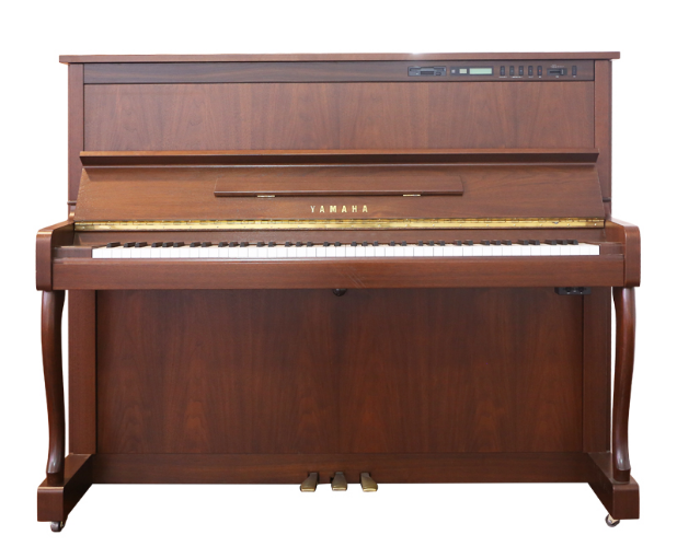 Schimmel  K132