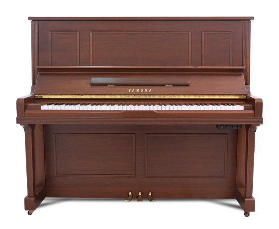 Schimmel  K132