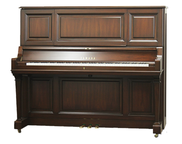 Schimmel  K132