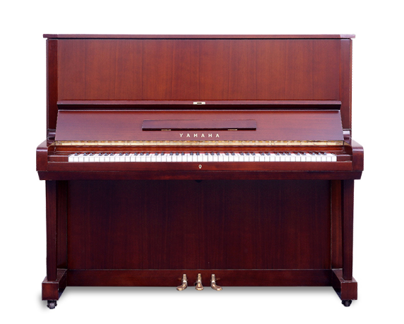 Schimmel  K132