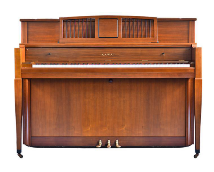 Schimmel  K132