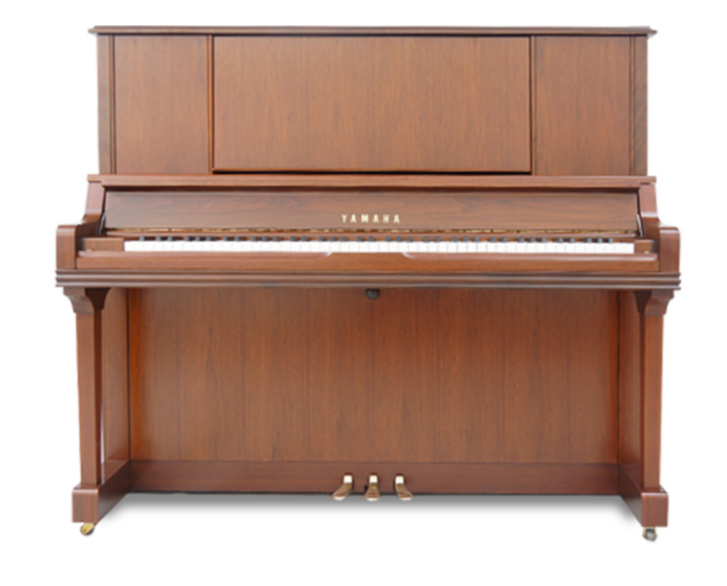 Schimmel  K132