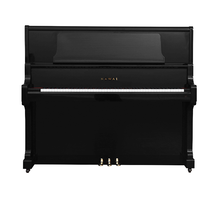 Schimmel  K132