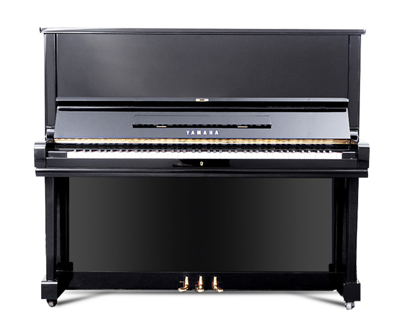 Schimmel  K132
