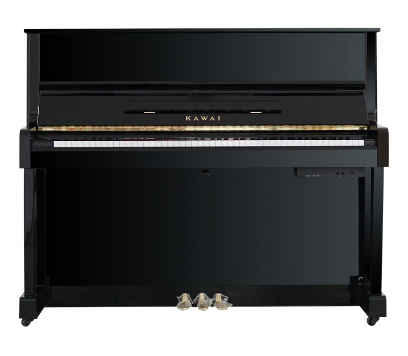 Schimmel  K132