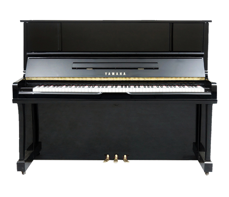 Schimmel  K132