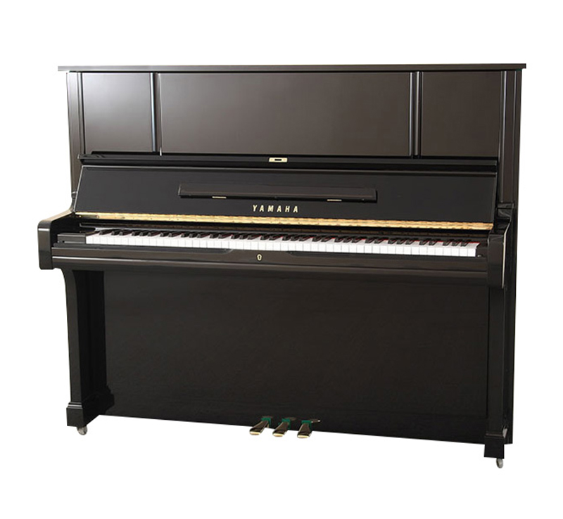 Schimmel  K132