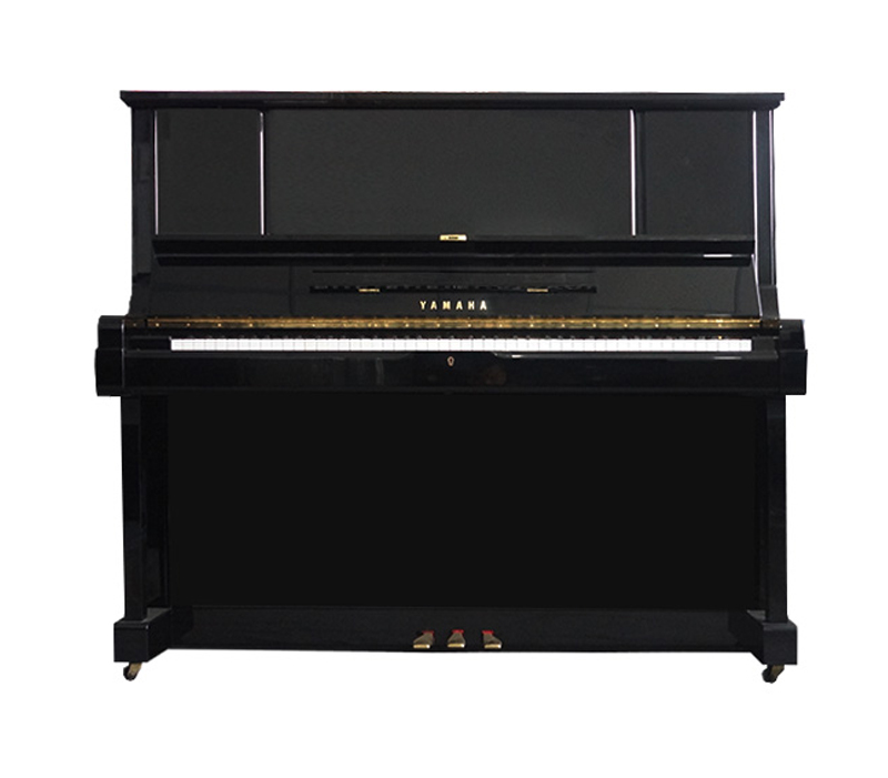 Schimmel  K132