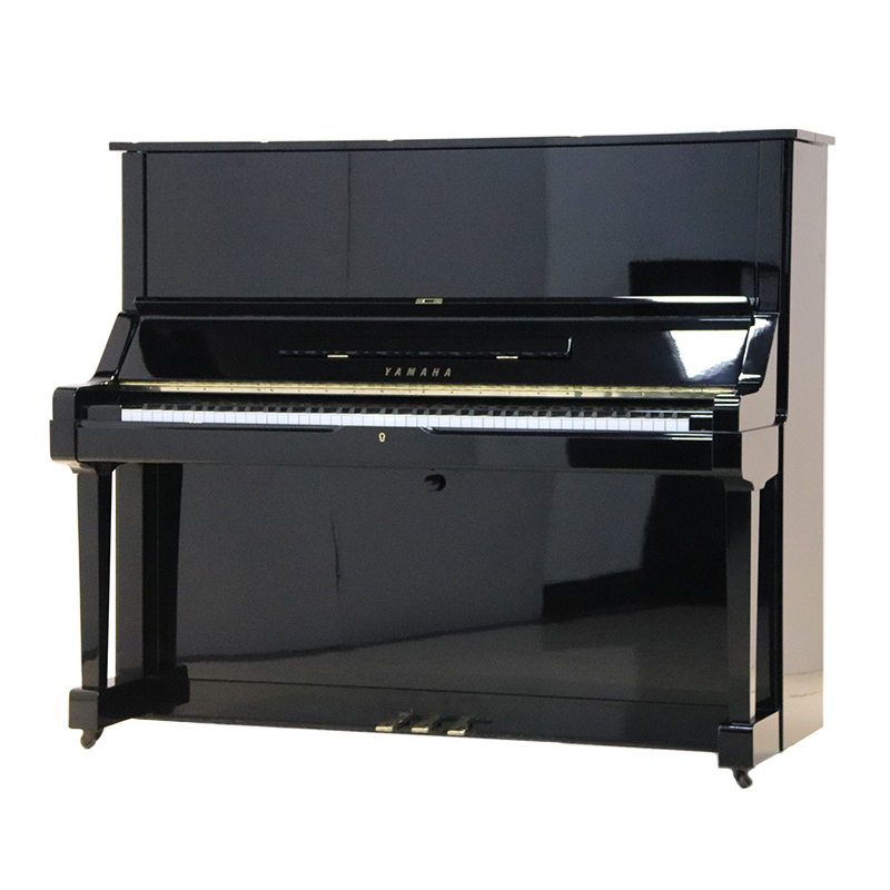 Schimmel  K132