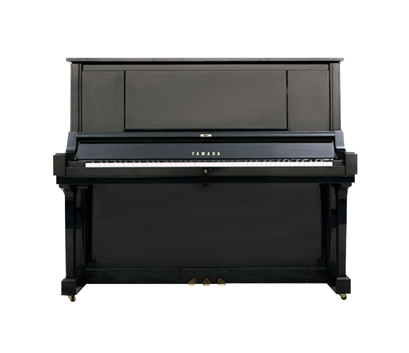Schimmel  K132