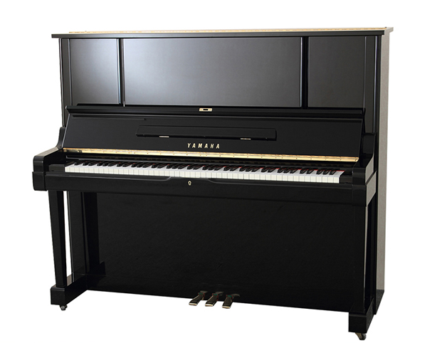 Schimmel  K132