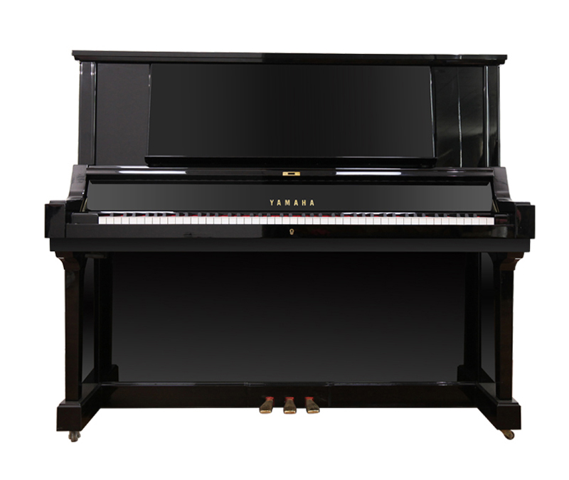 Schimmel  K132