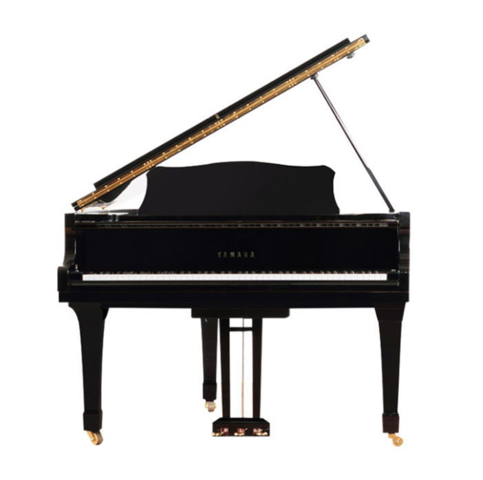 Schimmel  K132