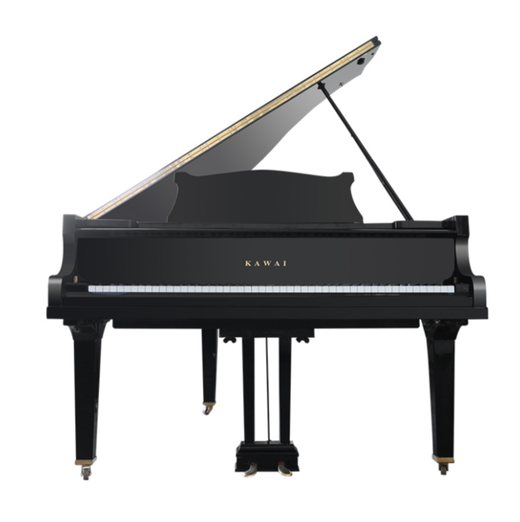 Schimmel  K132