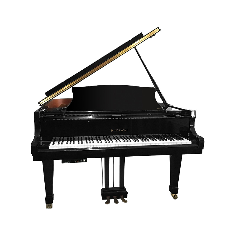 Schimmel  K132