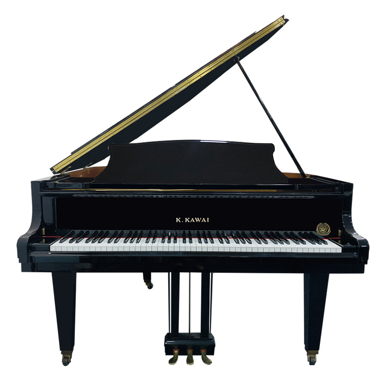 Schimmel  K132