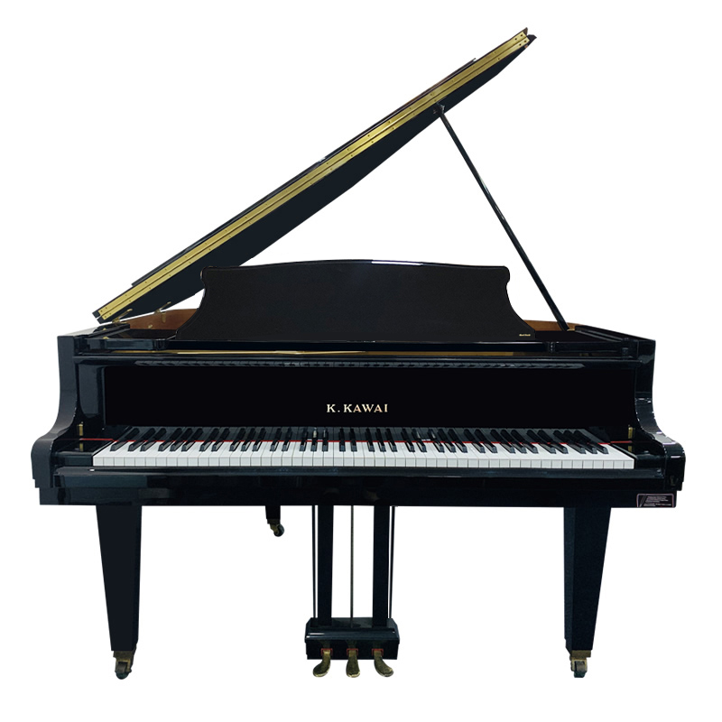 Schimmel  K132