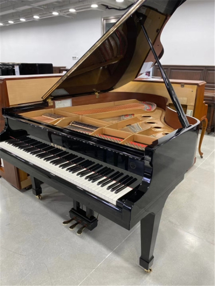 Schimmel  K132
