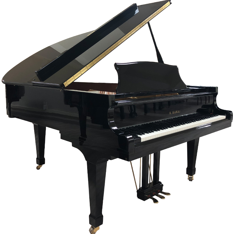 Schimmel  K132