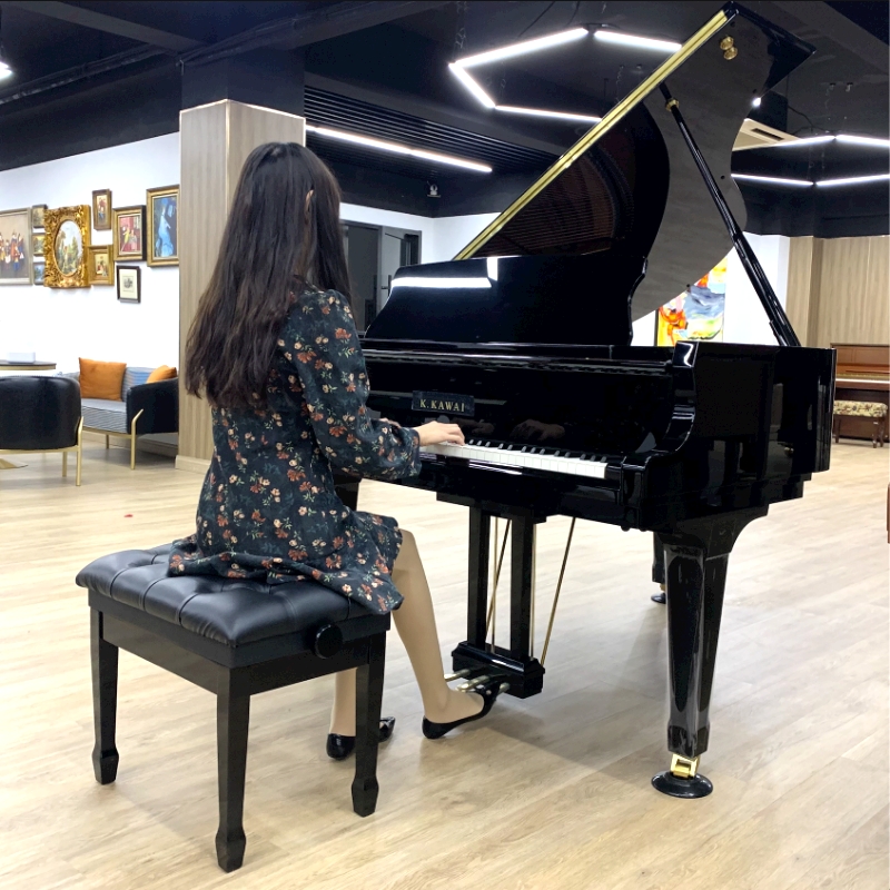 Schimmel  K132