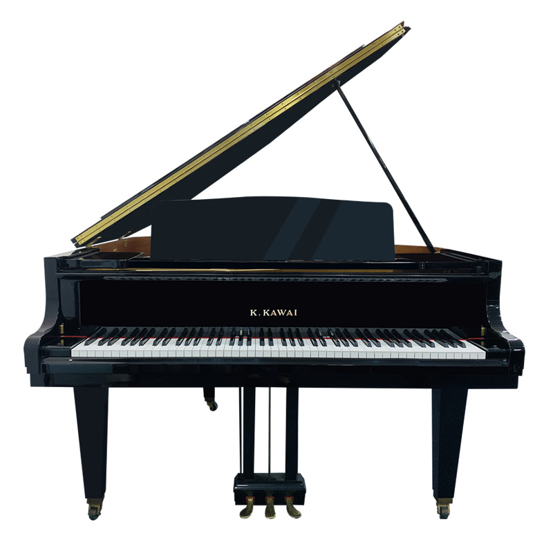 Schimmel  K132