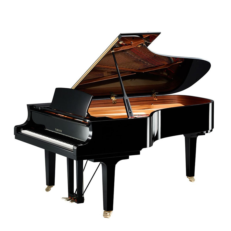 Schimmel  K132