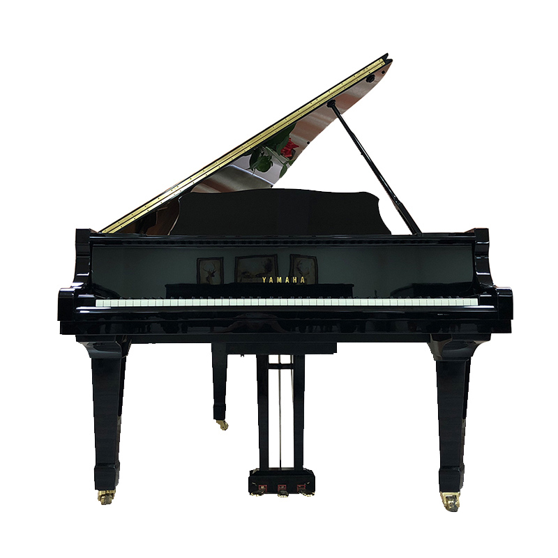 Schimmel  K132