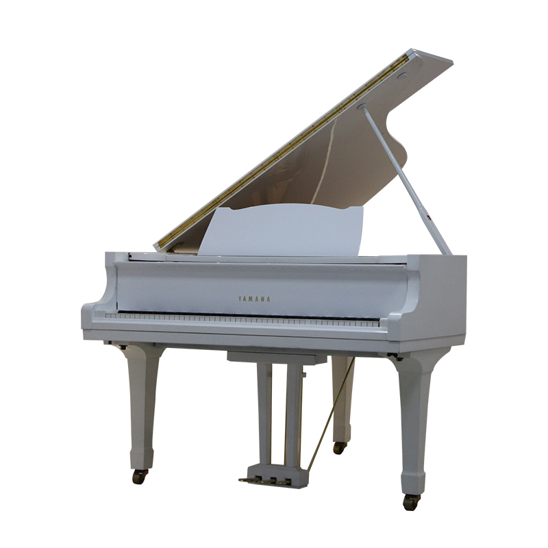 Schimmel  K132