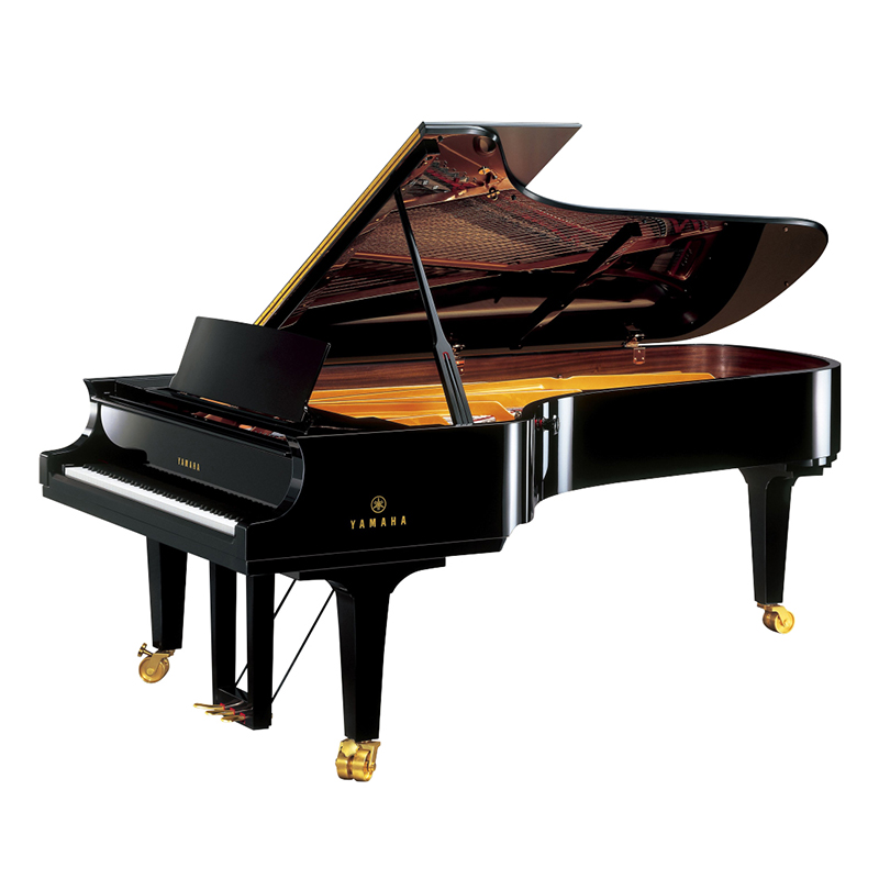 Schimmel  K132