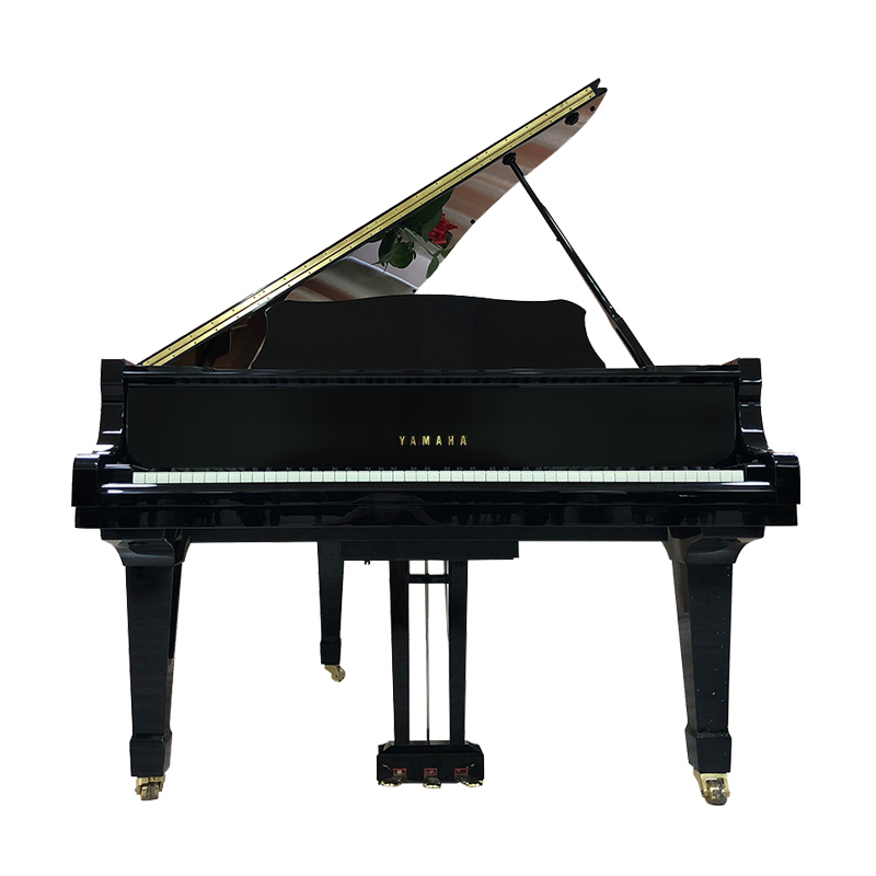 Schimmel  K132