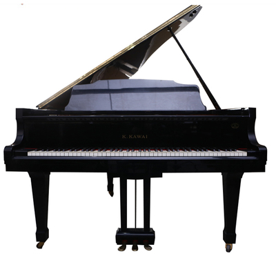 Schimmel  K132