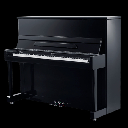 Schimmel  K132