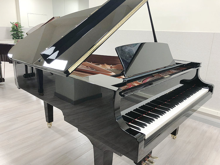 Schimmel  K132