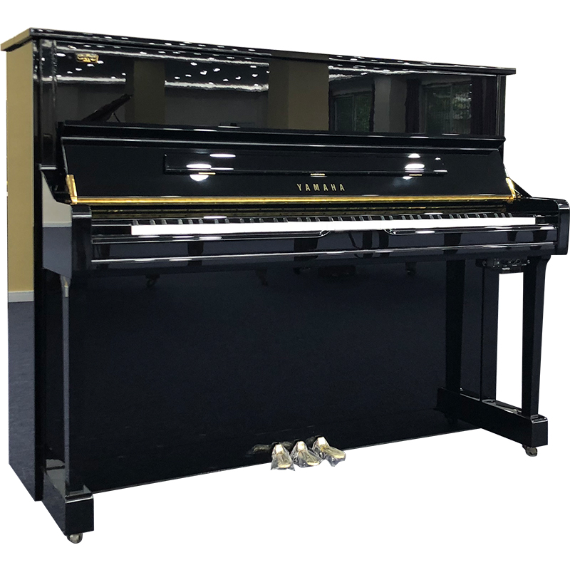 Schimmel  K132