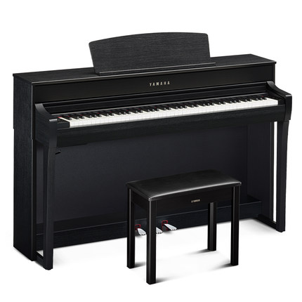 Schimmel  K132