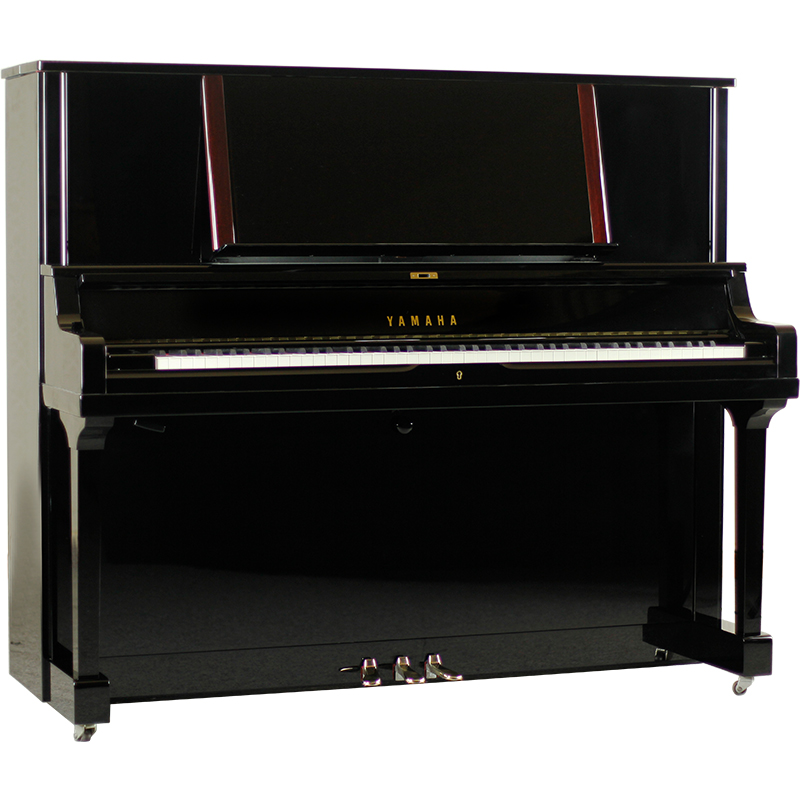 Schimmel  K132