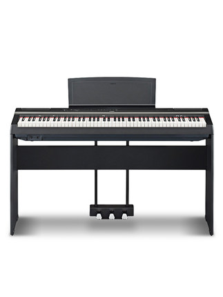 Schimmel  K132