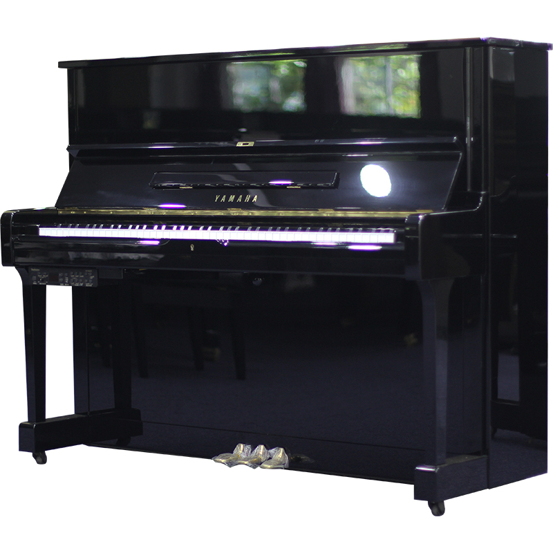 Schimmel  K132