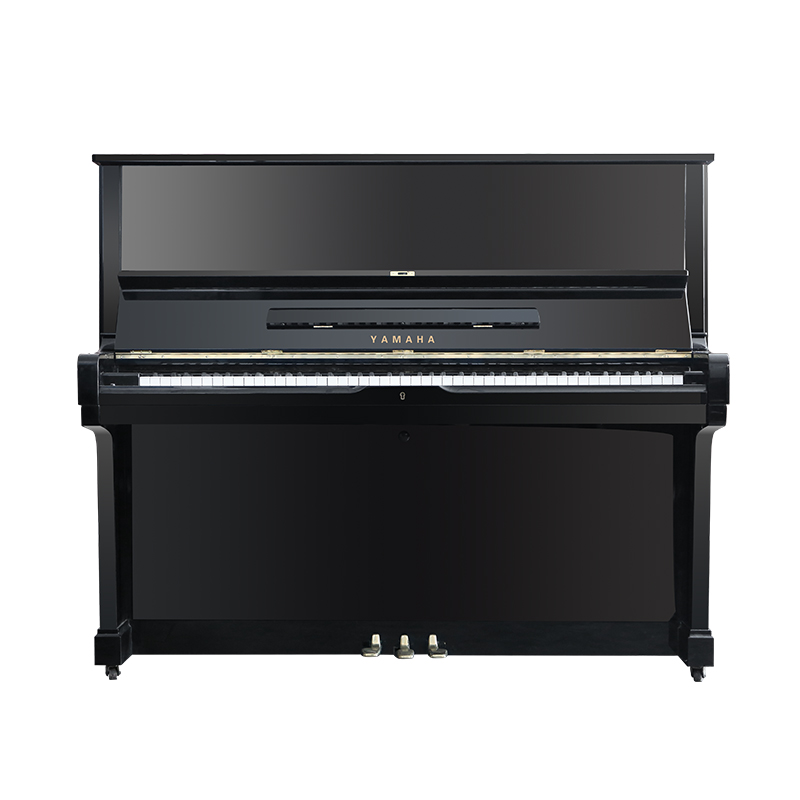 Schimmel  K132